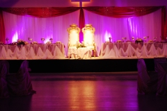 wedding-party-stage